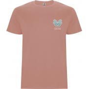 Stafford koszulka męska z krótkim rękawem, 2xl, pomarańczowy