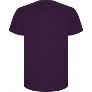 Stafford koszulka męska z krótkim rękawem, 3xl, fioletowy