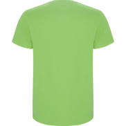 Stafford koszulka męska z krótkim rękawem, 2xl, zielony