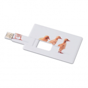 Creditcard. USB flash 16GB     MO1059-06 - biały