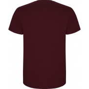 Stafford koszulka męska z krótkim rękawem, 3xl, fioletowy