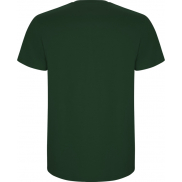 Stafford koszulka męska z krótkim rękawem, 3xl, zielony