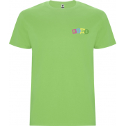 Stafford koszulka dziecięca z krótkim rękawem, 9/10, zielony