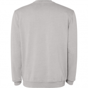 Jaya sweter unisex z okrągłym dekoltem 250 g/m², m, szary