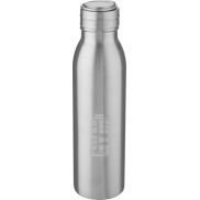 Bidon ze stali nierdzewnej Harper o pojemności 700 ml z metalową pętelką, szary