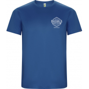 Imola sportowa koszulka męska z krótkim rękawem 135 g/m², 3xl, niebieski