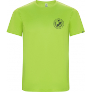 Imola sportowa koszulka męska z krótkim rękawem 135 g/m², xl, zielony