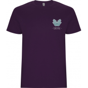Stafford koszulka męska z krótkim rękawem 190 g/m², 3xl, fioletowy