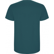 Stafford koszulka męska z krótkim rękawem 190 g/m², l, niebieski