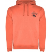 Urban męska bluza z kapturem 280 g/m², l, czerwony