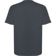 Koszulka Bull, unisex, oversize, z krótkim rękawem 210 g/m², m, szary
