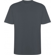 Koszulka Bull, unisex, oversize, z krótkim rękawem 210 g/m², l, szary
