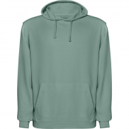 Laguna bluza unisex z kapturem 250 g/m², s, zielony