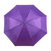 Parasol - purpura