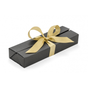 Etui na długopisy E26 złoty