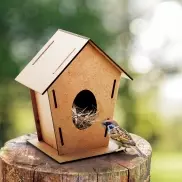 Domek dla ptaków