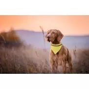 Odblaskowa husta dla psa - żółty