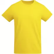 Breda koszulka męska z krótkim rękawem, s, żółty