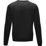Męska organiczna bluza Jasper wykonana z recyclingu i posiadająca certyfikat GOTS, m, czarny
