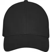 6-panelowa bawełniana czapka Drake z daszkiem typu trucker cap, czarny