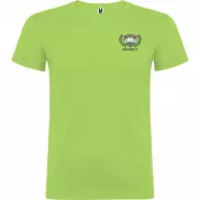 Beagle koszulka męska z krótkim rękawem, 2xl, zielony