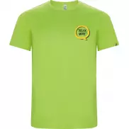 Imola sportowa koszulka męska z krótkim rękawem, l, zielony