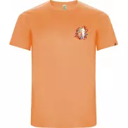 Imola sportowa koszulka męska z krótkim rękawem, l, pomarańczowy