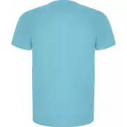 Imola sportowa koszulka męska z krótkim rękawem, l, niebieski