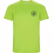 Imola sportowa koszulka męska z krótkim rękawem, s, zielony