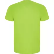 Imola sportowa koszulka męska z krótkim rękawem, l, zielony