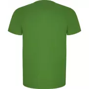Imola sportowa koszulka męska z krótkim rękawem, xl, zielony