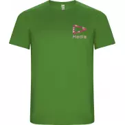 Imola sportowa koszulka męska z krótkim rękawem, 2xl, zielony