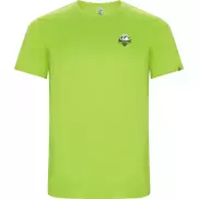 Imola sportowa koszulka dziecięca z krótkim rękawem, 8, zielony