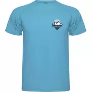 Montecarlo sportowa koszulka męska z krótkim rękawem, s, niebieski