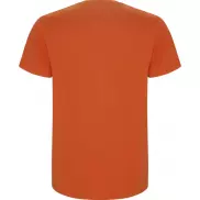 Stafford koszulka męska z krótkim rękawem, l, pomarańczowy