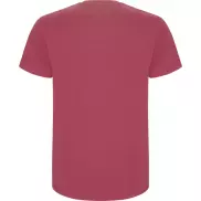 Stafford koszulka męska z krótkim rękawem, 2xl, czerwony