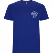 Stafford koszulka męska z krótkim rękawem, l, niebieski