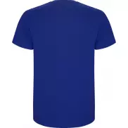 Stafford koszulka męska z krótkim rękawem, 4xl, niebieski