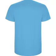 Stafford koszulka męska z krótkim rękawem, xl, niebieski