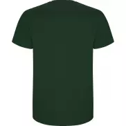 Stafford koszulka męska z krótkim rękawem, s, zielony