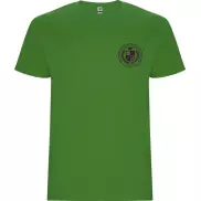 Stafford koszulka męska z krótkim rękawem, l, zielony