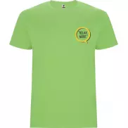 Stafford koszulka męska z krótkim rękawem, 2xl, zielony