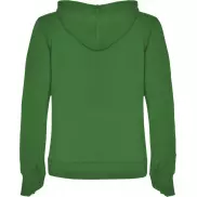 Urban damska bluza z kapturem, 2xl, zielony, biały