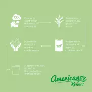 Americano® Switch Renew kubek o pojemności 200 ml z pokrywką, zielony