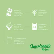 Americano® Switch Renew kubek o pojemności 300 ml z pokrywką, zielony